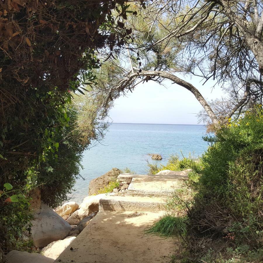 Villa Di Franco Cefalù Zewnętrze zdjęcie